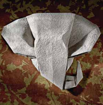 Elephant head