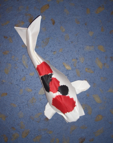 Koi