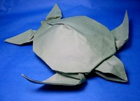 Sea turtle