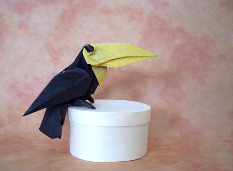 Toucan
