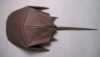 Horseshoe crab