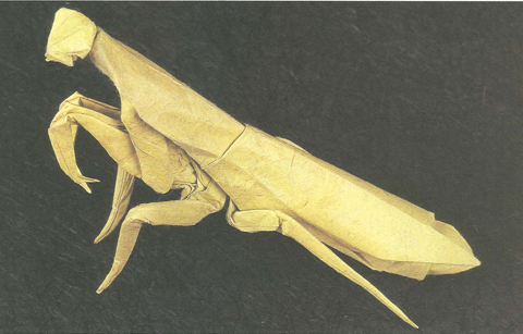 Praying mantis
