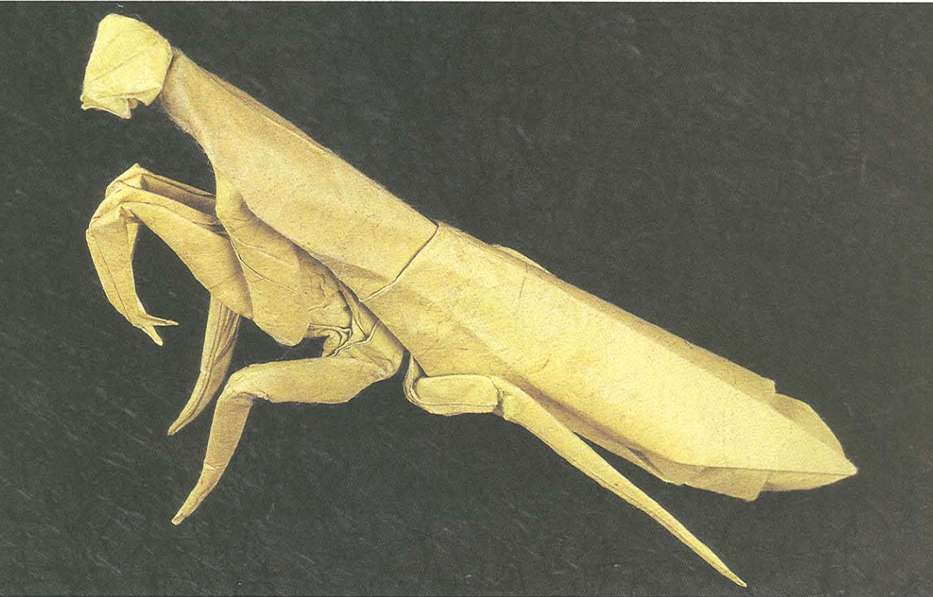 Praying mantis
