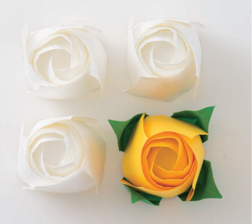 Square rosebud