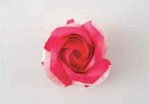Square rose