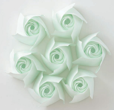 Pentagon rosebud