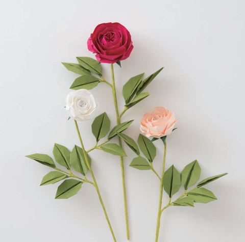 Old rose Rosette