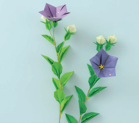 Bellflower