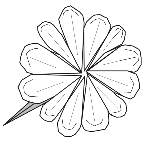 Dahlia