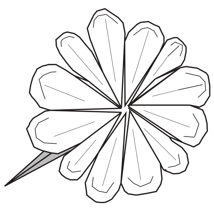 Dahlia