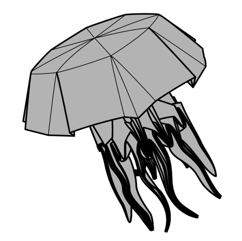 Jellyfish