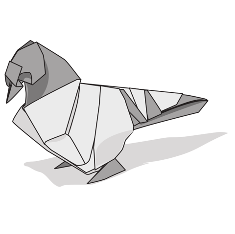 Blue bar pigeon