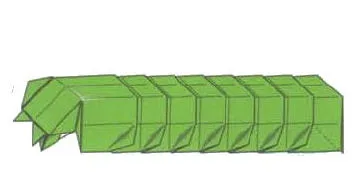 Caterpillar