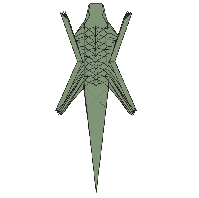 Iguana