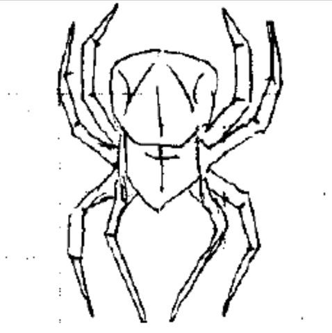 Spider