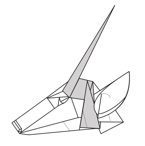 Antelope head