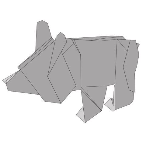 Black bear