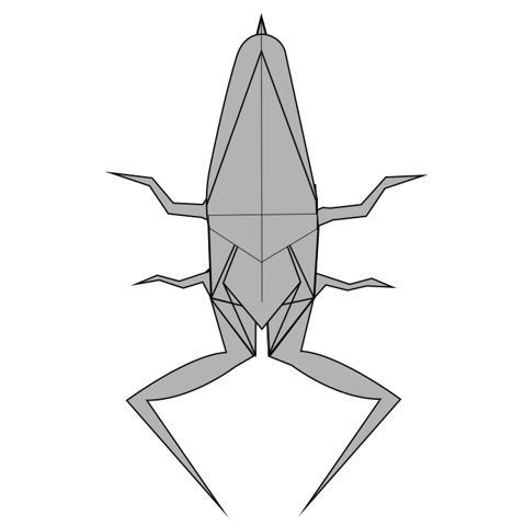 Water bug