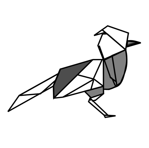 Pitohui