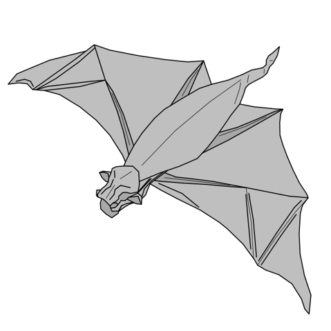 Free-tailed bat