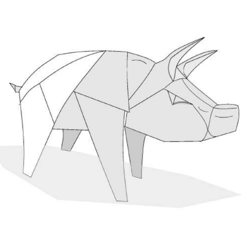 Pig