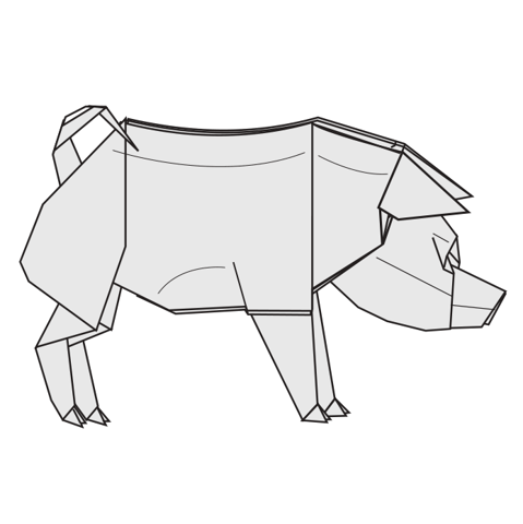 Pig