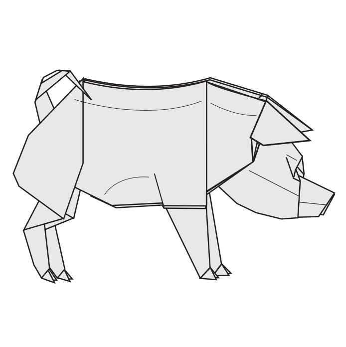 Pig