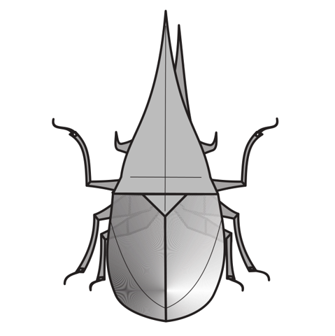 Hercules beetle