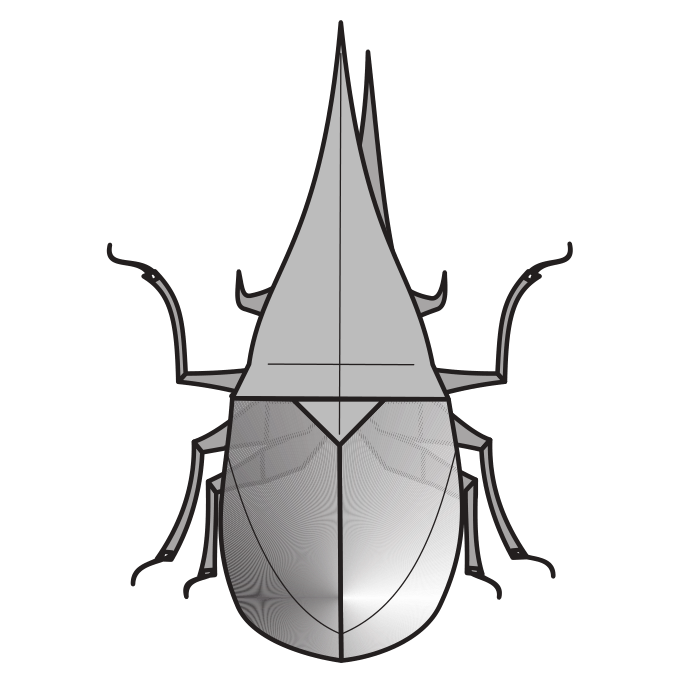 Hercules beetle