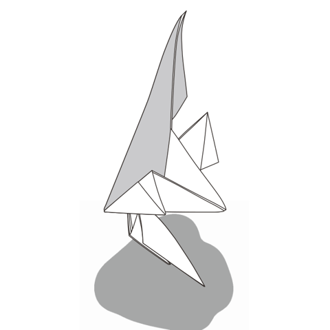 Angelfish
