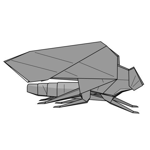 Leafhopper