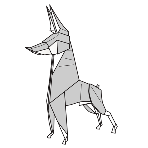 Doberman pinscher
