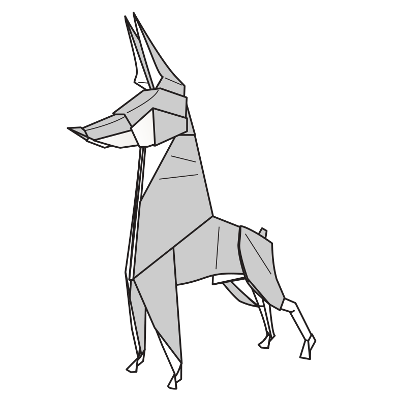 Doberman pinscher