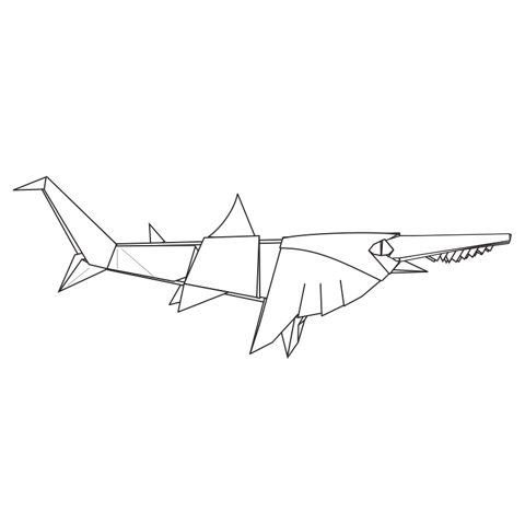 Japanese saw shark