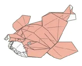 Monkfish
