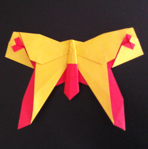 Butterfly heart