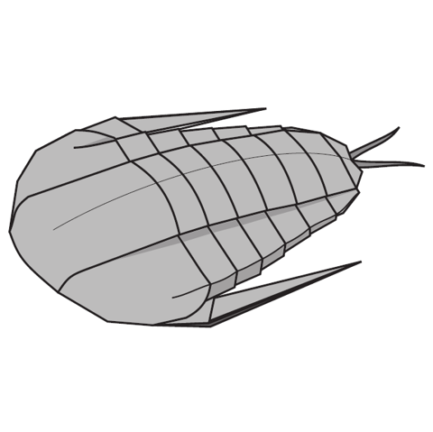 Trilobites