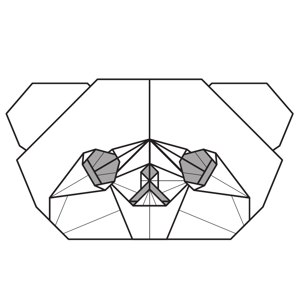 Bear cub mask