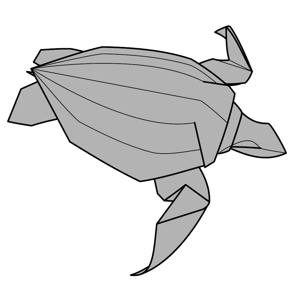 Leatherback sea turtle