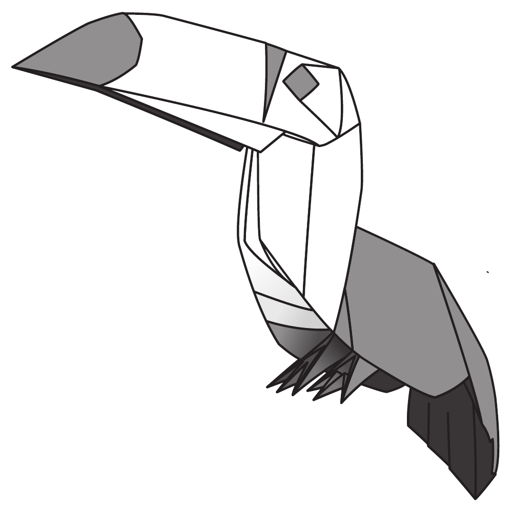 Toucan