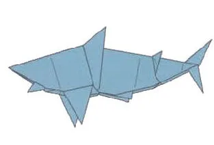 Great white shark