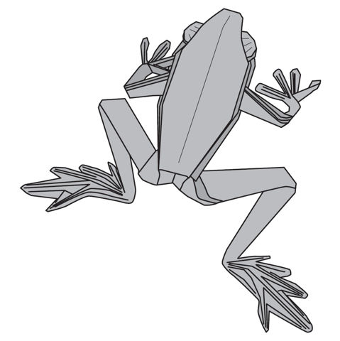Poison dart frog HP