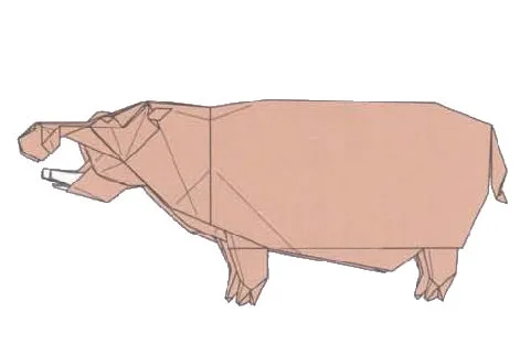 Hippopotamus 1
