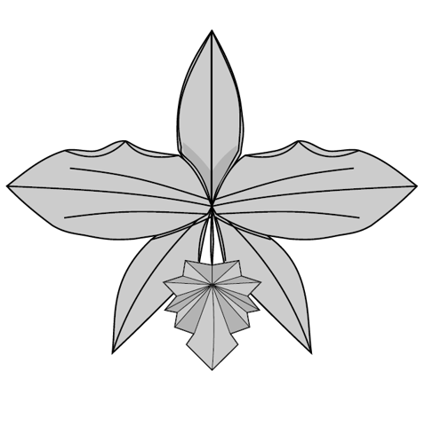 Orchid