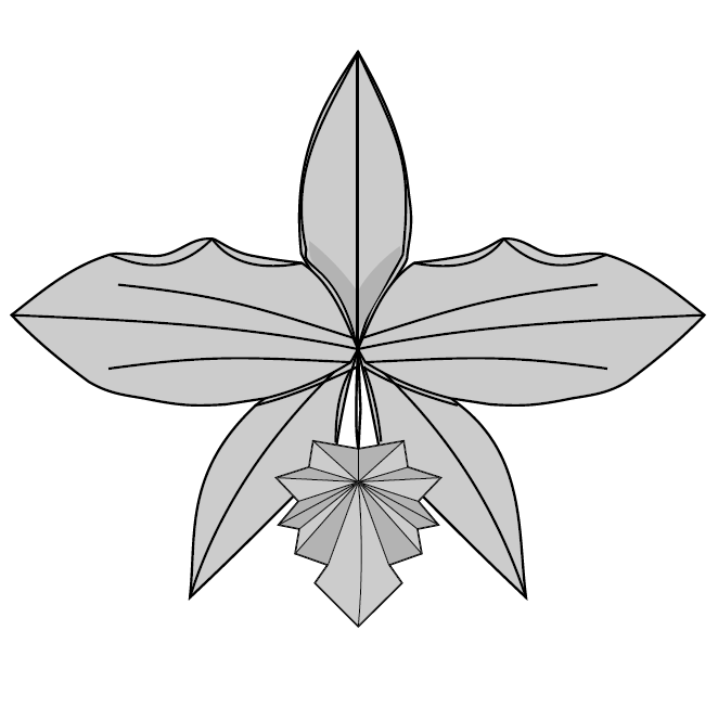 Orchid
