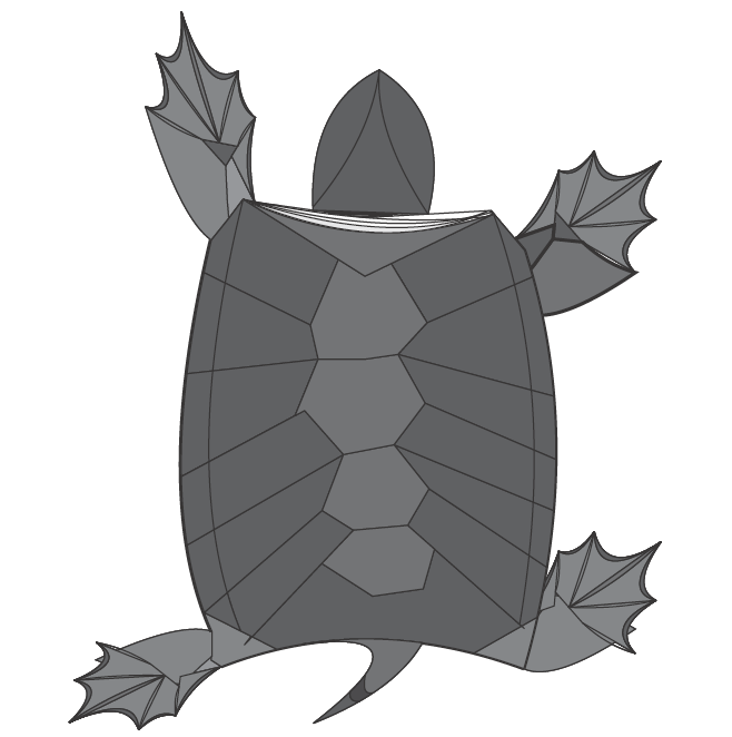 Pond turtle