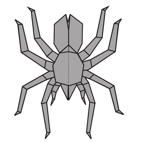 Spider