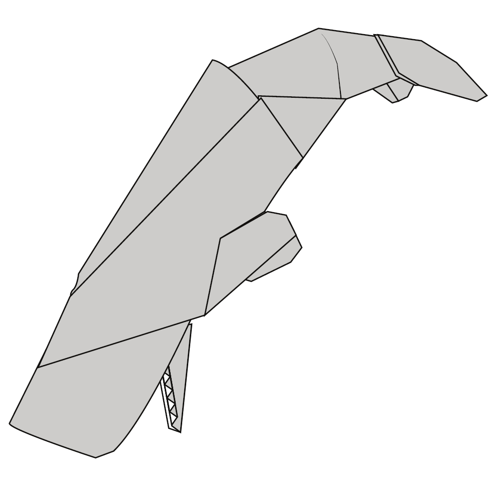 Sperm whale