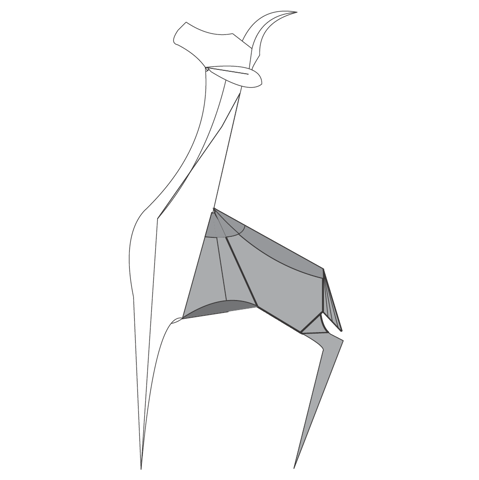 Gerenuk