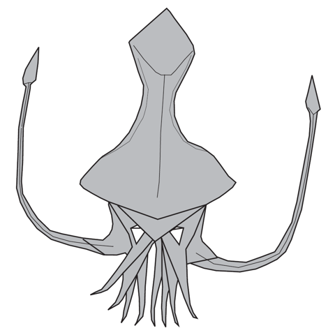 Squid